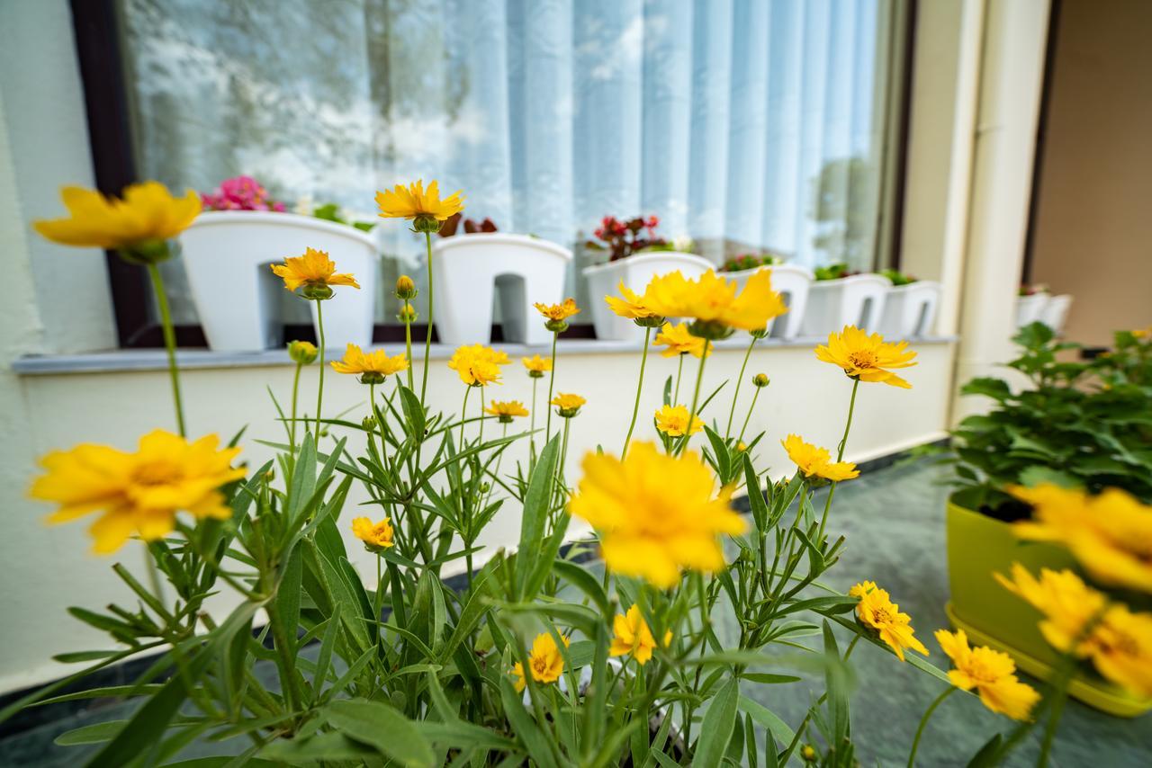 Hotel Villa Aljor ゴーレム エクステリア 写真