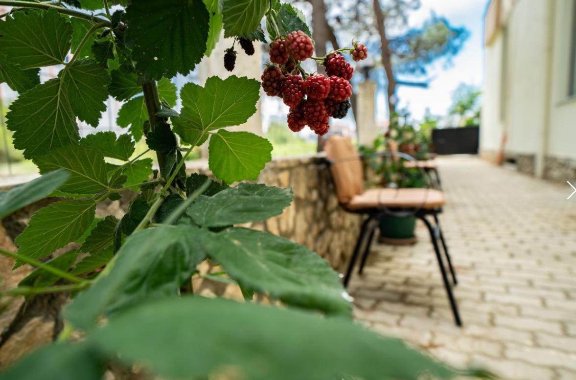 Hotel Villa Aljor ゴーレム エクステリア 写真